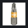 Hrot SPAX  T-STAR plus | CEFRA